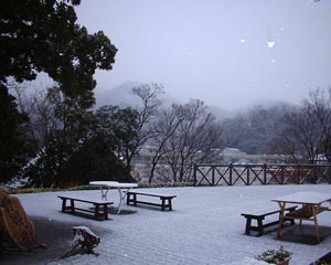 今年の1月