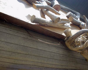 blog-20060329_01.jpg