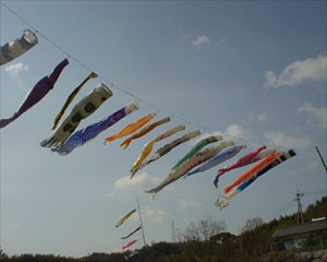 koinobori.JPG